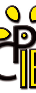 Site RCJD